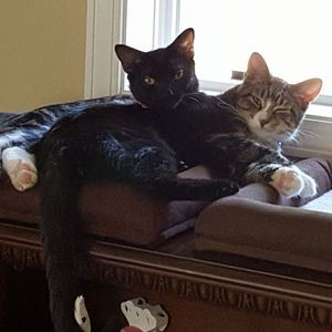 Meet your Posher, Luann